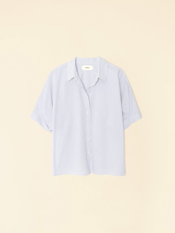 Sky Teddy Shirt - Image 4