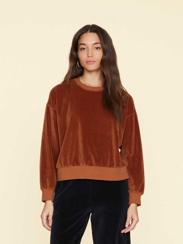 Brown Sugar Huxley Velour Sweatshirt
