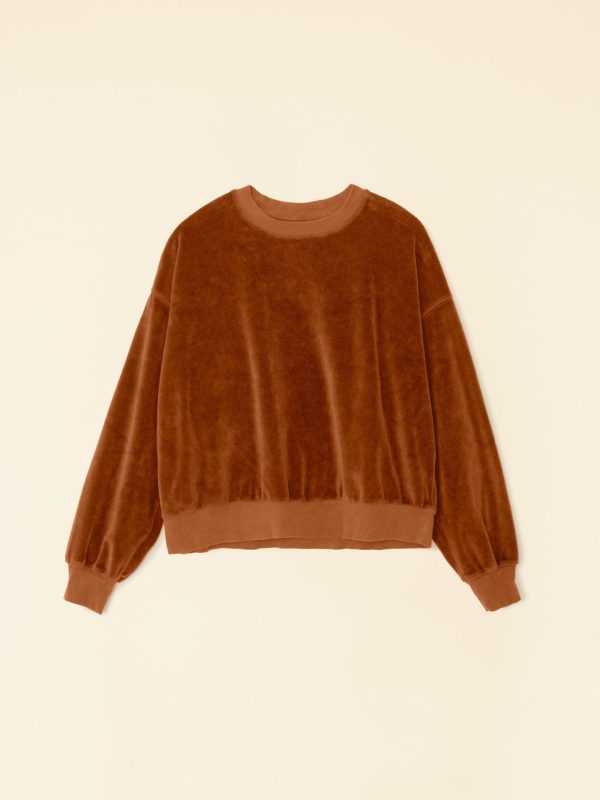 Brown Sugar Huxley Velour Sweatshirt - Image 3